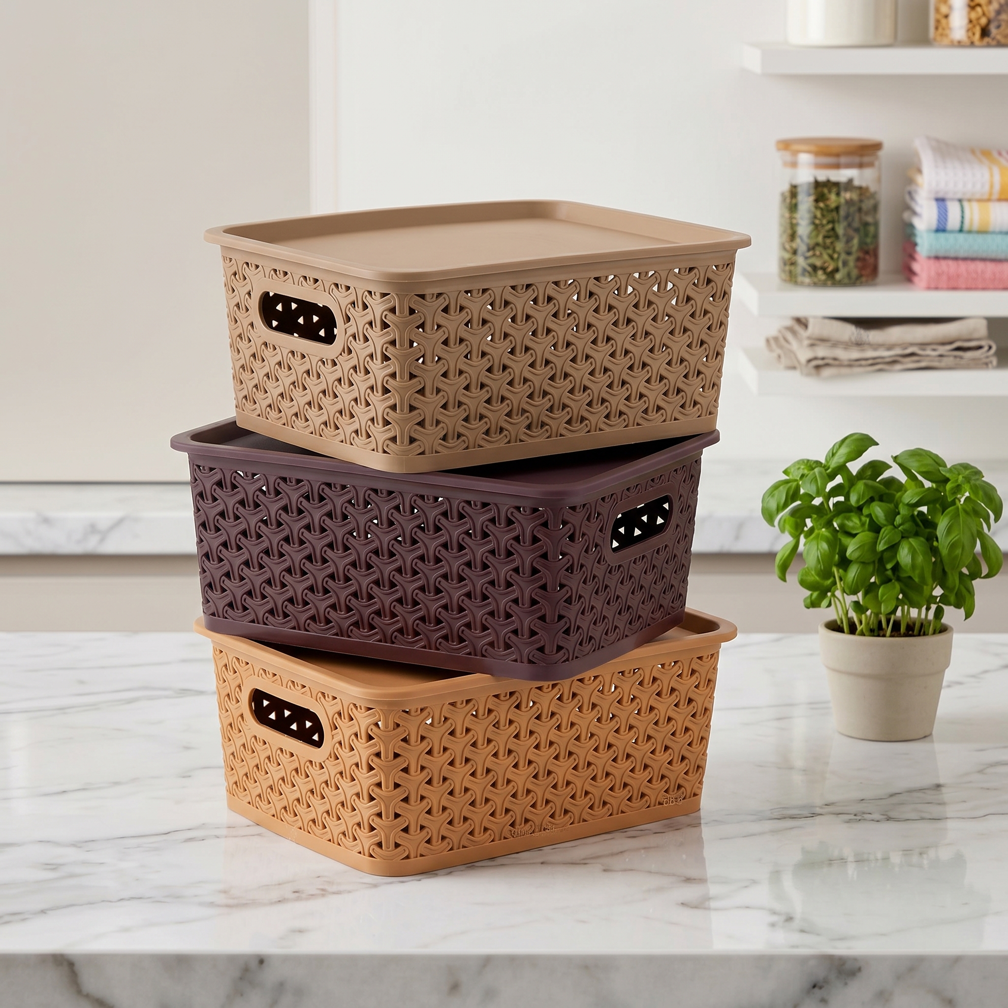 Tray & Basket